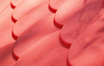 Neat Marsh plastic roof costs