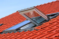 Neat Marsh roof window
